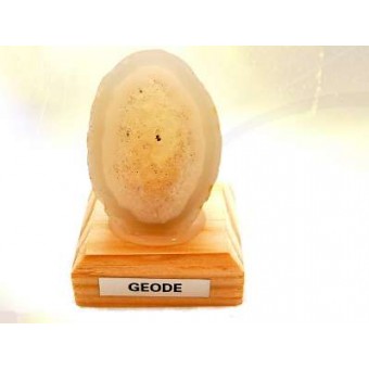 Geoda Geoda