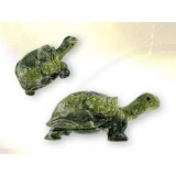 Tortue serpentine