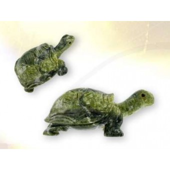 Tortue serpentine Tortue serpentine