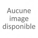 Chaîne forçat argent